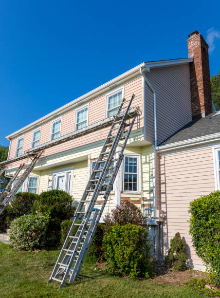 Best Yard Waste Removal  in Jackson, MI