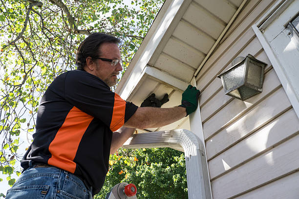 Best Moving and Downsizing Cleanouts  in Jackson, MI